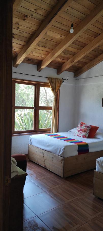 Cabanas Los Cactus 2 Huasca de Ocampo Exterior photo
